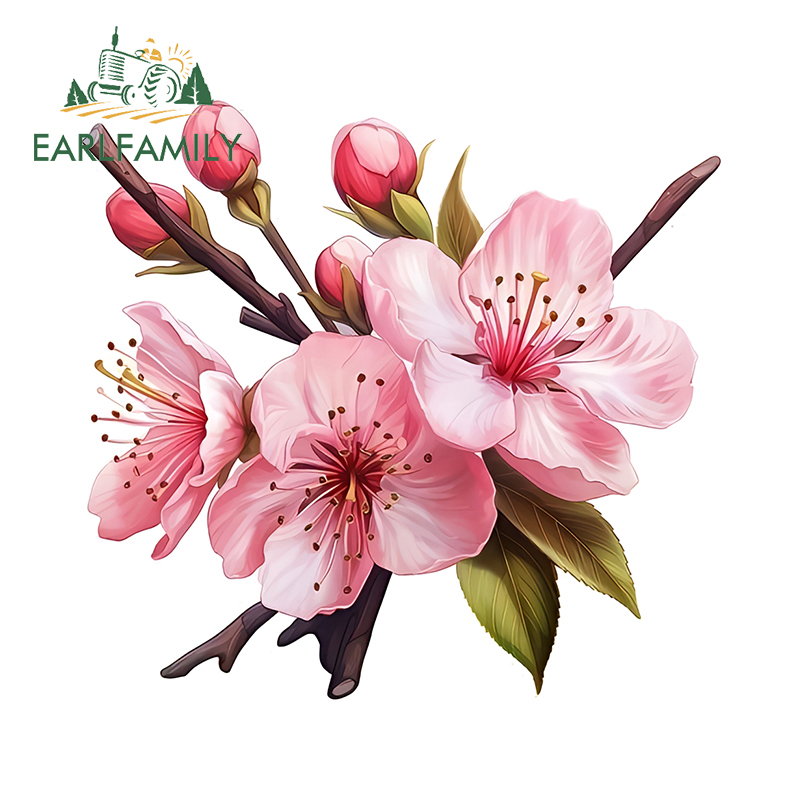 Laptop Accessories Pink - EARLFAMILY Adesivi per auto artistici rosa