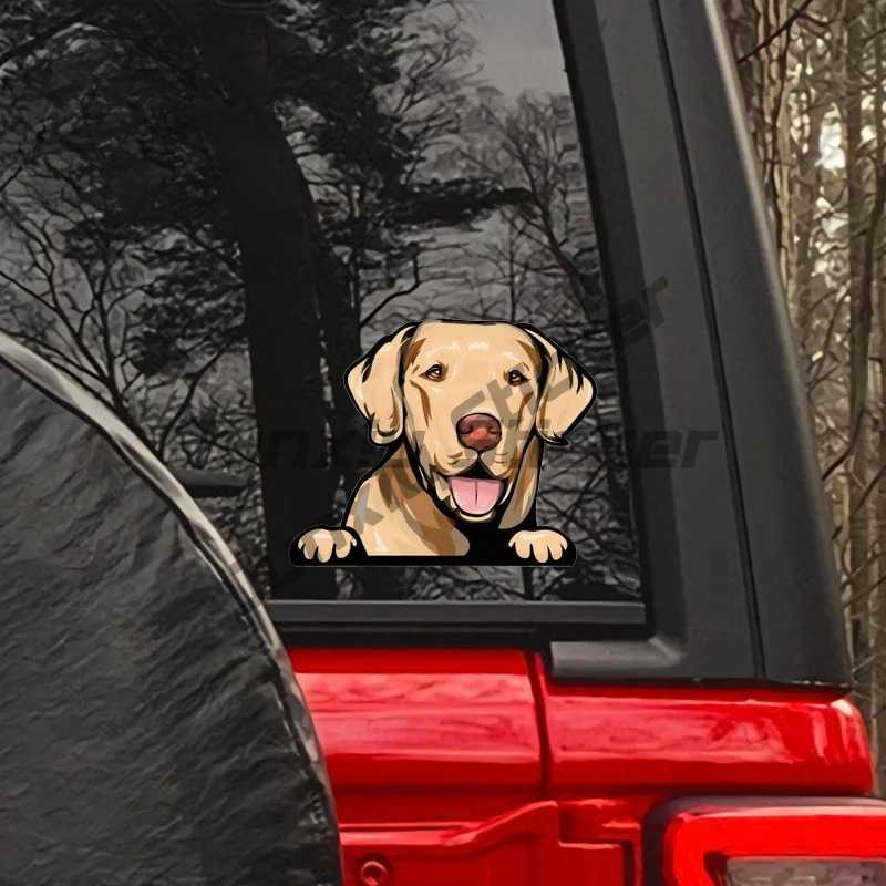 Adesivi per auto Labrador Retr - Yellow Laptop Accessories recensione e prezzo